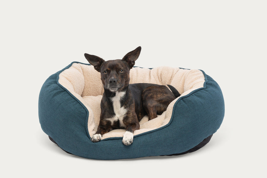 Oval Cuddler SleepDog™ Pet Bed Product Image 1