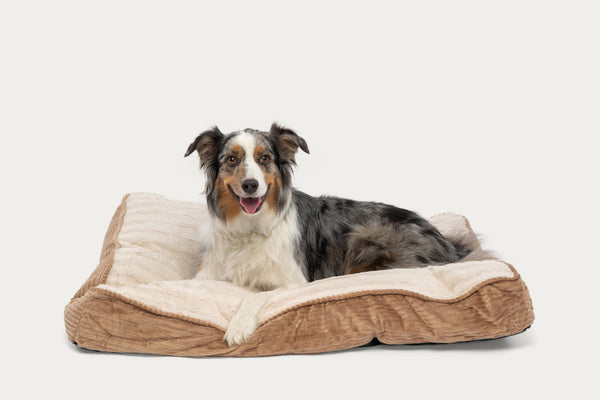 Deluxe Gusseted SleepDog™ Pet Bed Product Image
